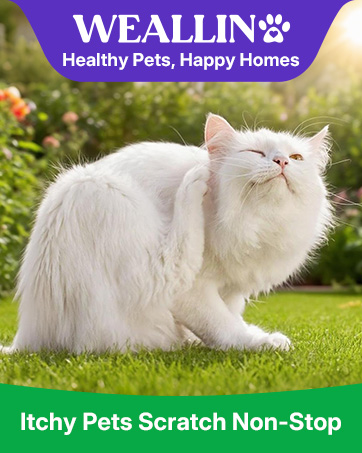 flea treatment for cats