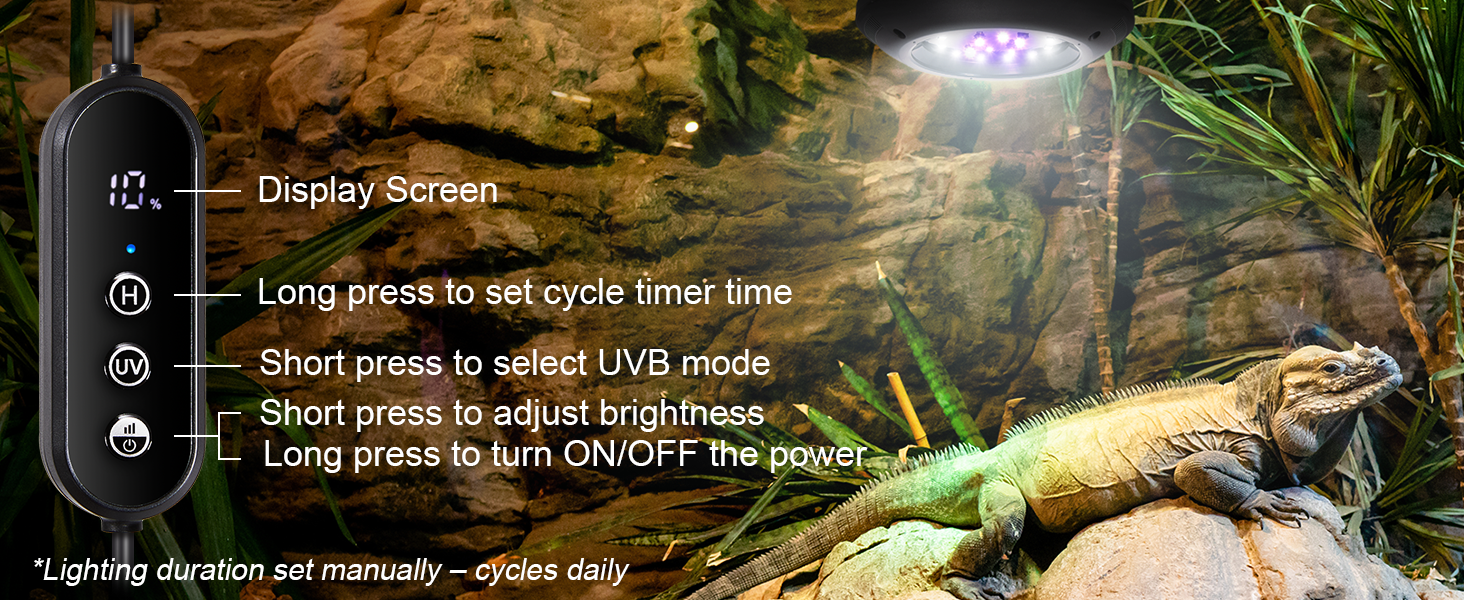 reptile uvb light