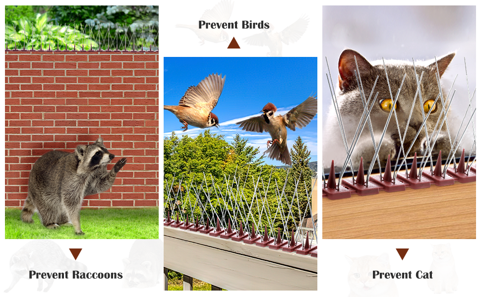 Alltope Defender Spikes, Outdoor Wall Cat Spikes Bird Spikes Pigeon