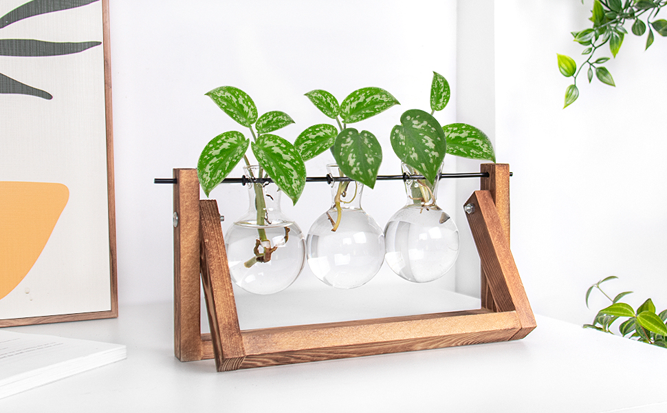 Ivolador Desktop Glass Plants Terrariums Bulb Vase with Retro Solid