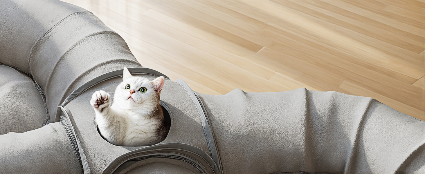 dual cat tunnels bed