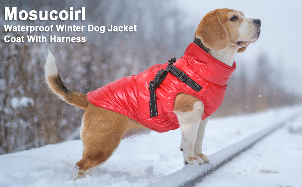 Dolahovy Waterproof Dogs Jacket Coat Winter Warm Pet Vest Windproof