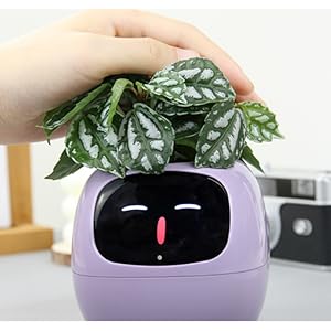 ai smart pet planter