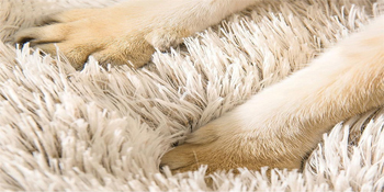 cosy fluffy plush dog bed cat cave bed covered donut 50cm