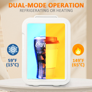 portable cooler warmer