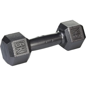 ダンベル(5kg) ファイティングロード Co.Ltd（FIGHTING ROAD CO.LTD）（メンズ