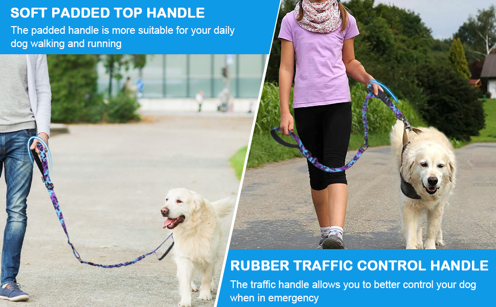 heavy duty dog leash