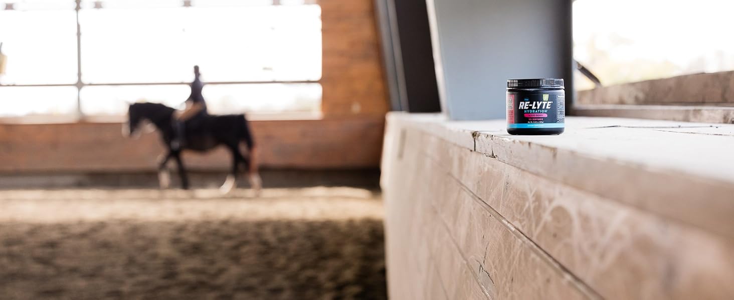 electrolyte, electrolyte powder, electrolyte packets, sugar free electrolytes, hydration packets