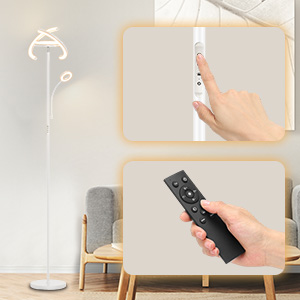 E02W-Dual Control with Touchpad and Remote