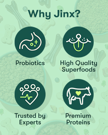 Jinx
