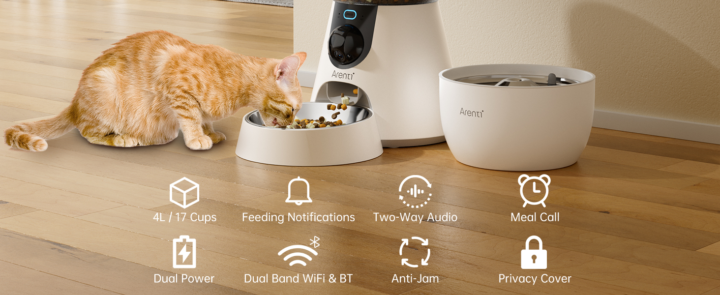 cat feeder with camera