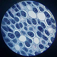 Small manufacture image 5