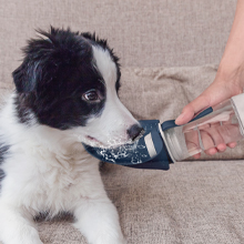 Suitable for Home Use