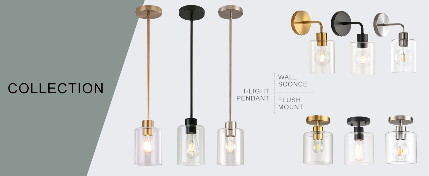 light fixture family