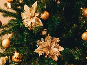 ÁRVORES TRADICIONAL