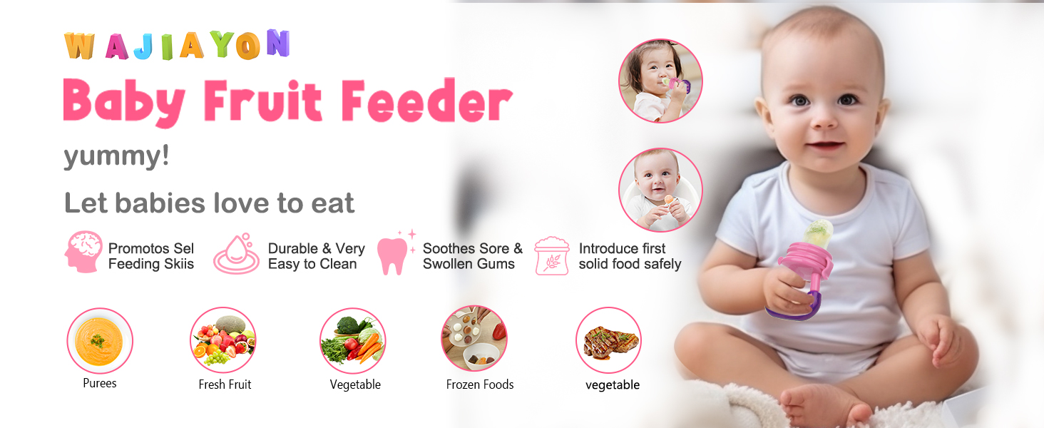 fruit feeder for babies 6-12 months