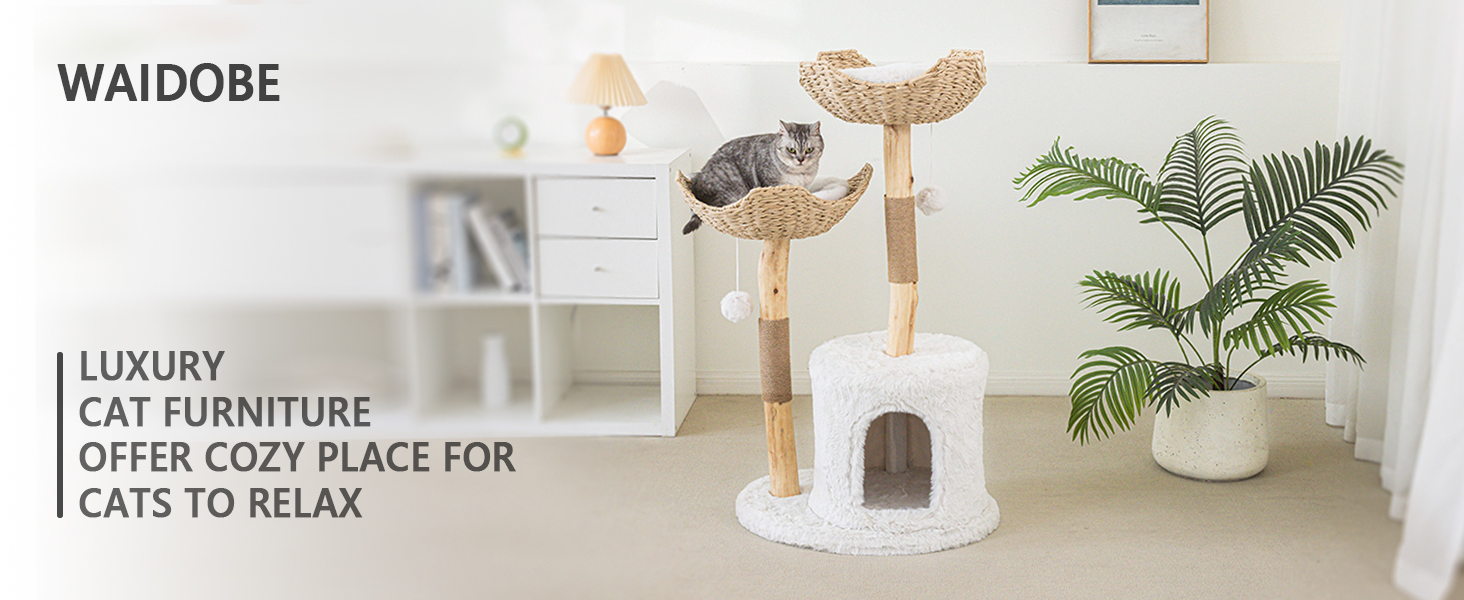 cat tree