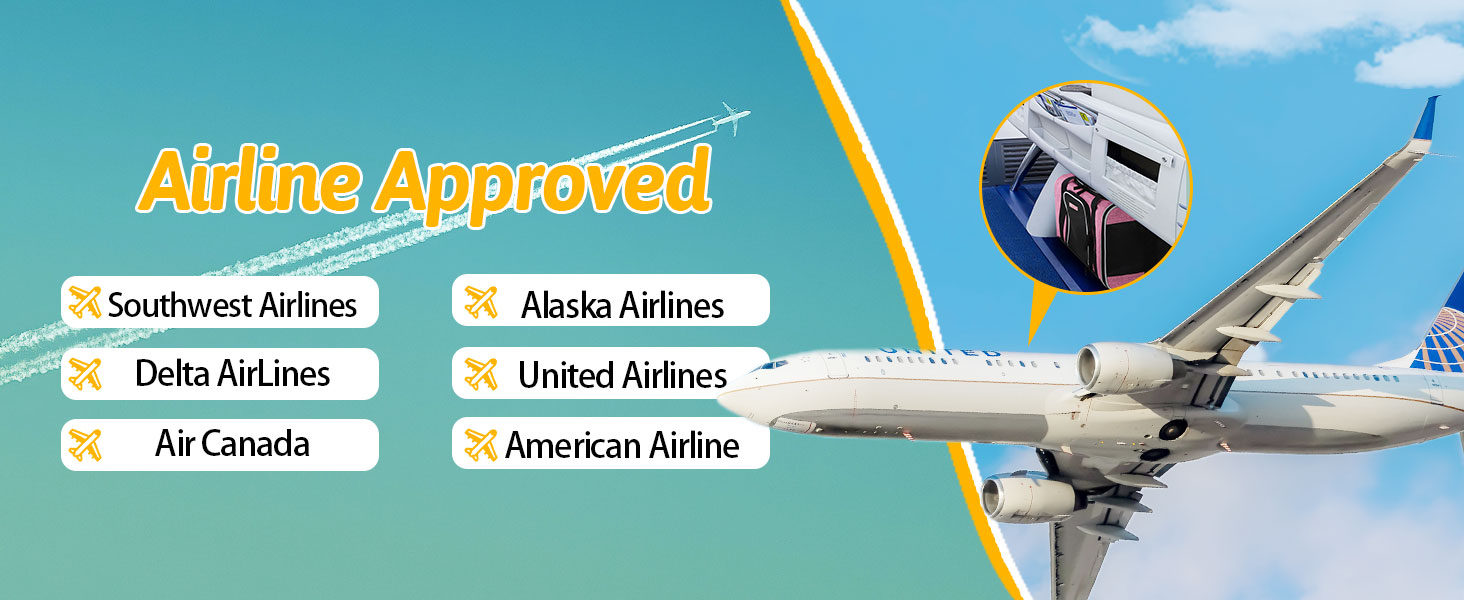 Petskd Pet Carrier 17x12x8.5 JetBlue Allegiant Airline