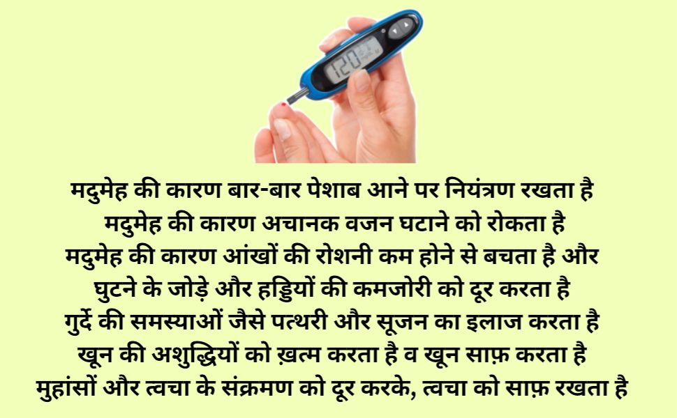 Bansiwala Karela Kalp Granules for Blood Sugar Control | Ayurvedic Medicine for Blood Sugar 3 blood sugar control