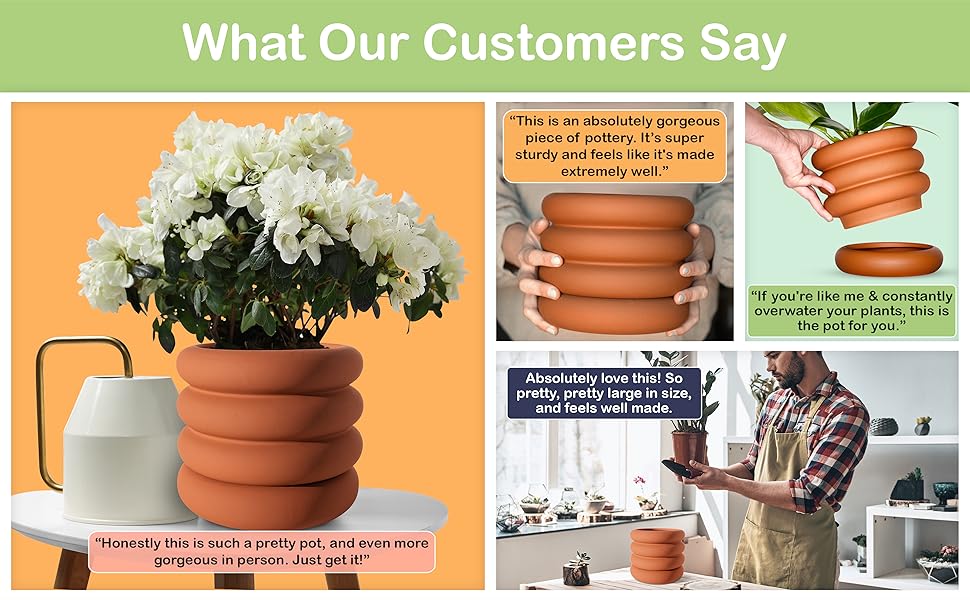 Reviews From Satisfied Customers Expressing Gratitude They Purchased This Planter