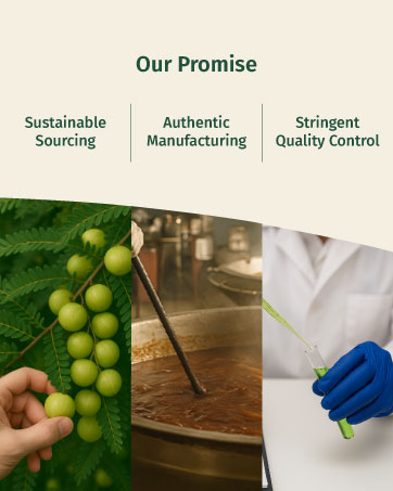 Kerala Ayurveda