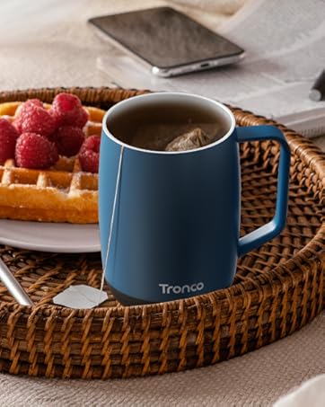 temperature control mug