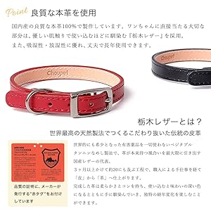 パリで購入フランスブランドWOUPAY赤いレザー犬用リード＆首輪新品タグ付き パリで購入フランスブランドWOUPAY赤いレザー犬用リード＆首輪