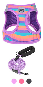 Plaid reflective dog harness and leash set