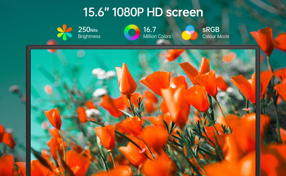 15.6 Inch 1080P USB-C HDMI Ultra-Slim Travel Monitor