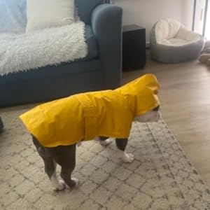 Hunderegenjacke Dog Raincoat Hooded Leash Hole 10 Sizes, Waterproof Double Layer Dog rain Coat