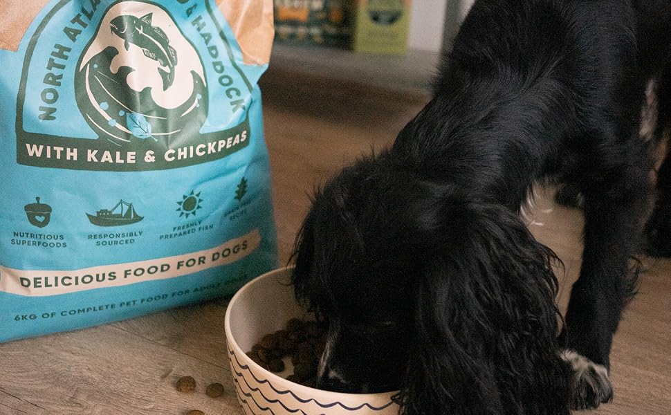 Beco Cod & Haddock with Kale and Chickpeas 2kg Natural & Grain Free Complete Dry Dog Food