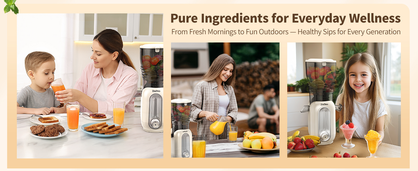 Cold Press Juicer Machines A+03