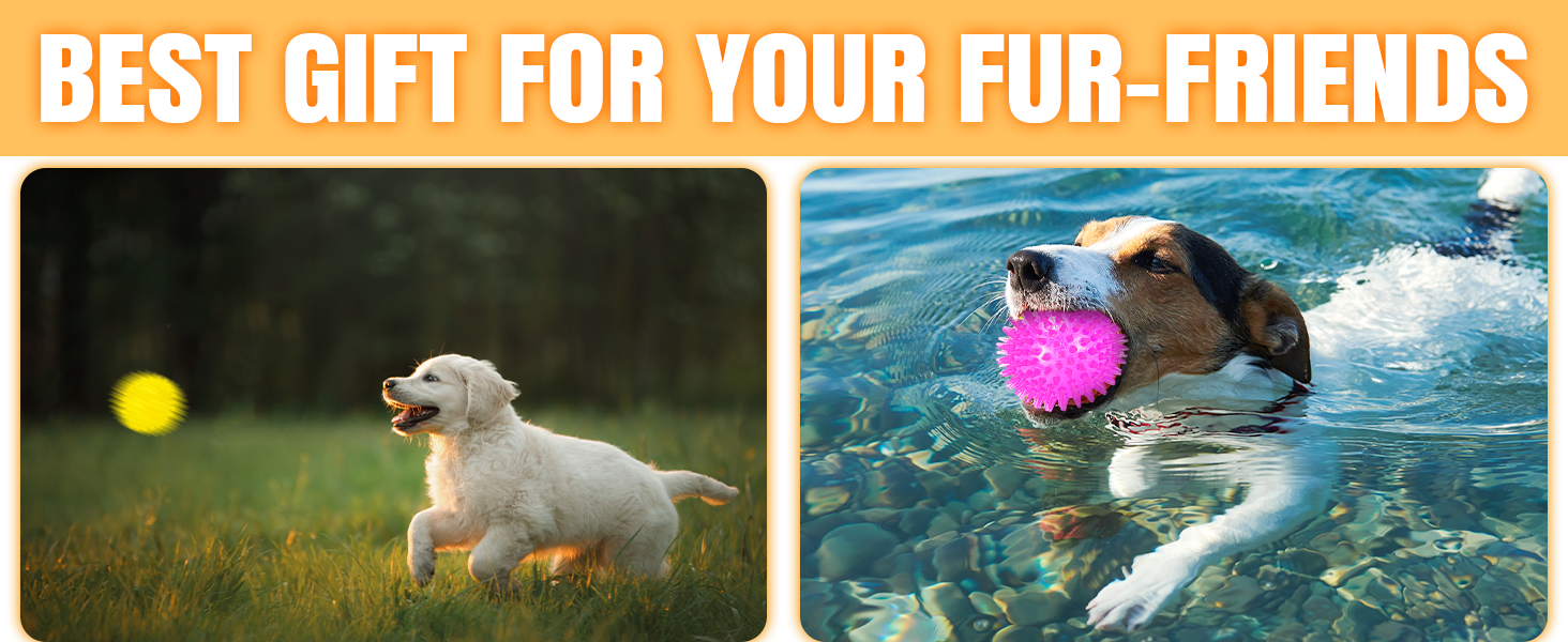 dog squeaky balls 3.5