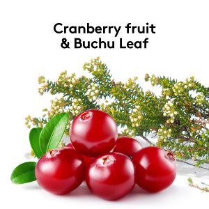cranberry buchu leaf flush out water