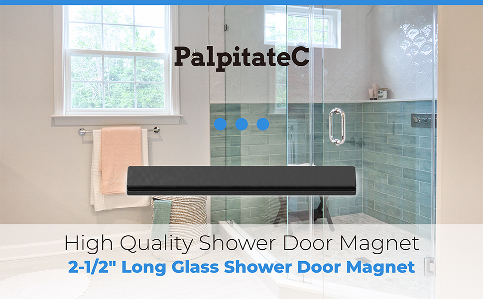 PalpitateC Upgrade Shower Door 21/2" Long Glass Shower Door