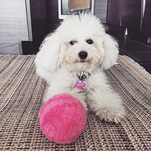 pelota interactiva