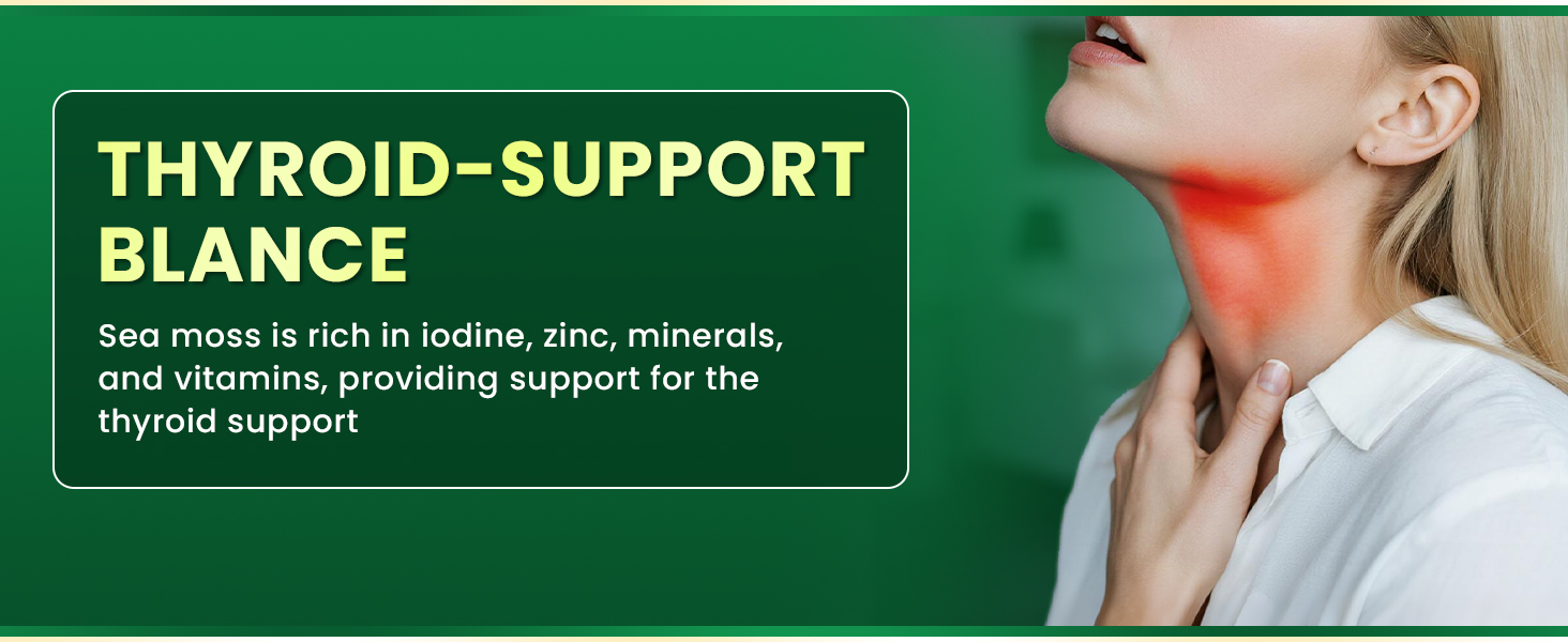 ashwagandha supplements sea moss black seed oil ashwagandha burdock root irish sea moss gummies