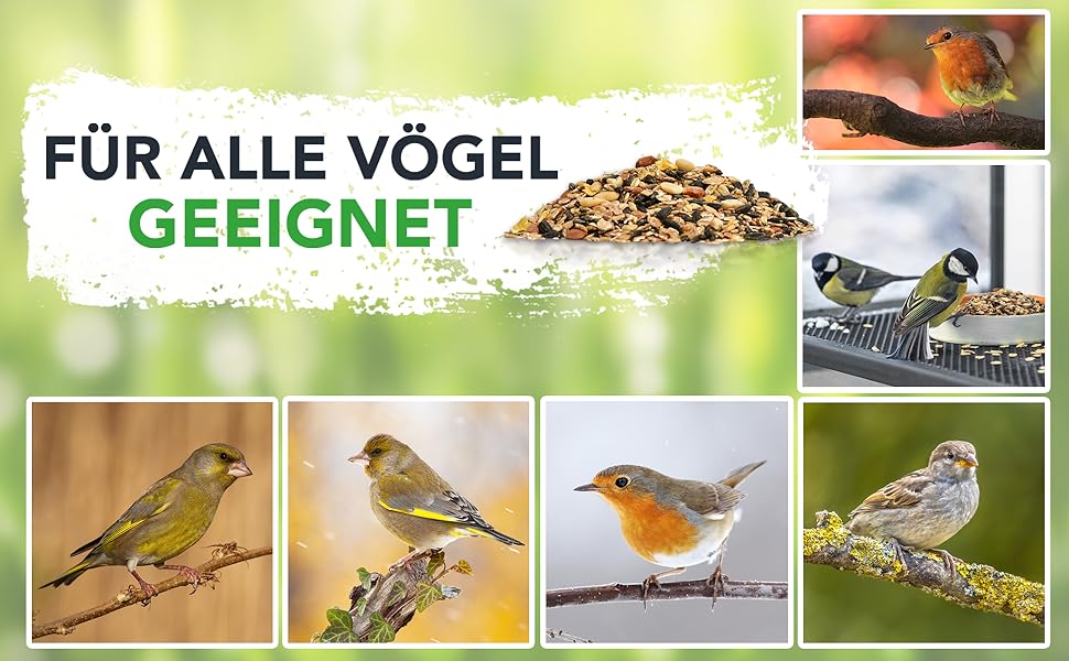 Vogelfutterwerbung mit Text „Für alle Vögel geeignet“. Es werden Bilder verschiedener Vogelarten und Samenmischungen gezeigt.