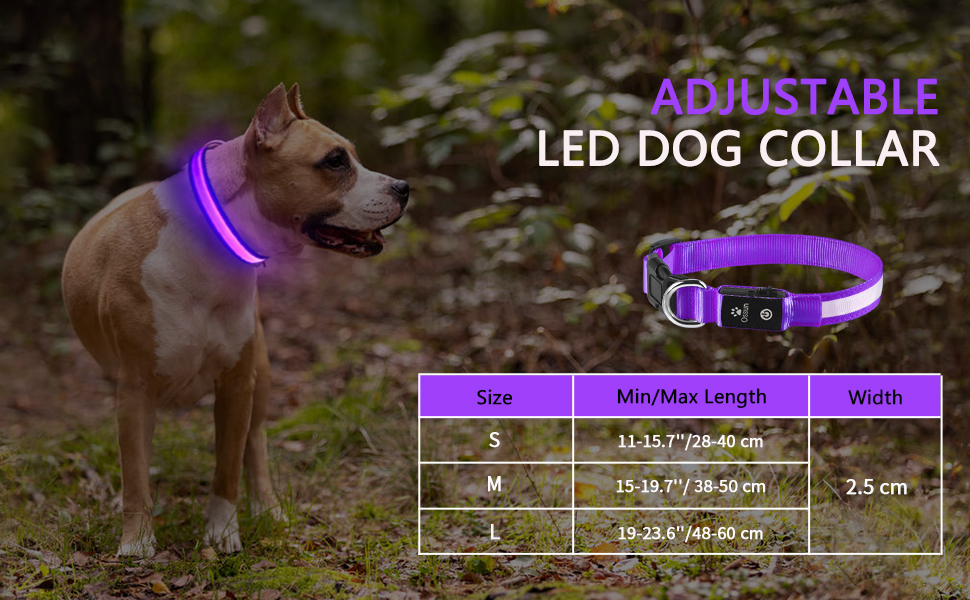 Upgraded LED Light up Dog Collar Rechargeable Waterproof, Ossun Led Dog