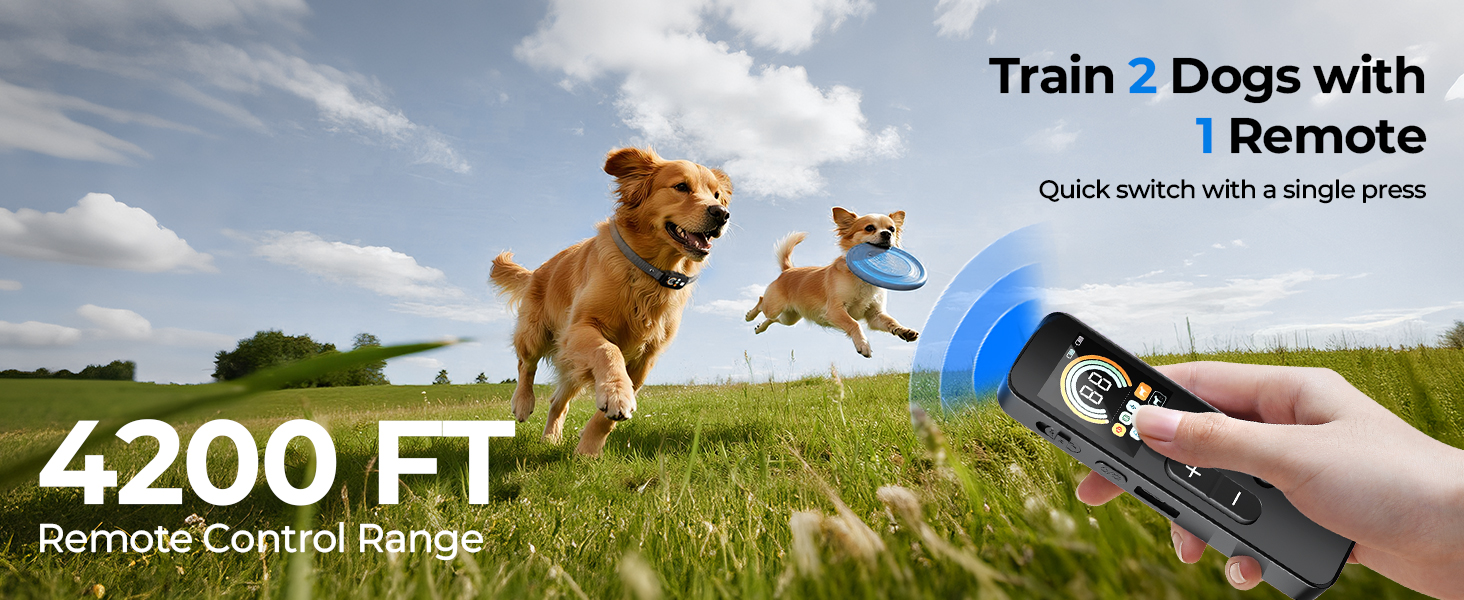 shock collar for dogs