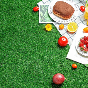 Artificial Grass Rug Indoor Outdoor