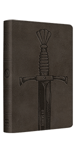 ESV Compact Bible TruTone, Silver, Sword Design