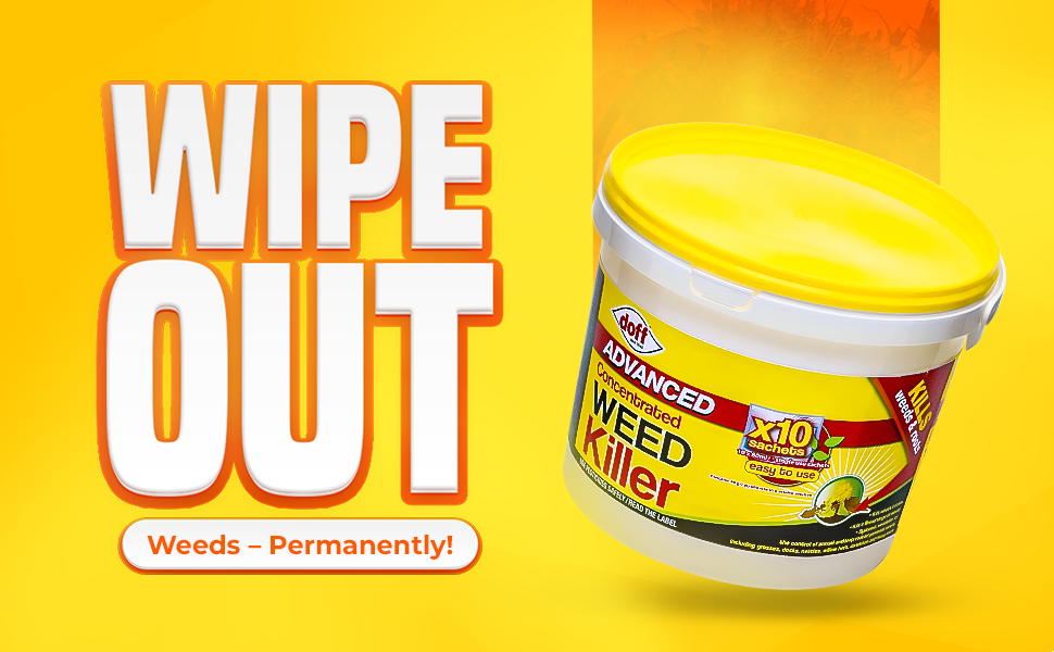 Yellow container of Advanced Weed Killer product with text 'WIPE OUT' prominently displayed. Container promises to permanently kill weeds and lasts up to 10 months.