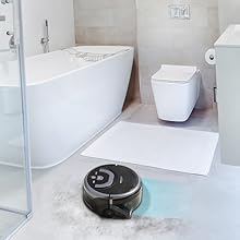 Cleaning Bathroom