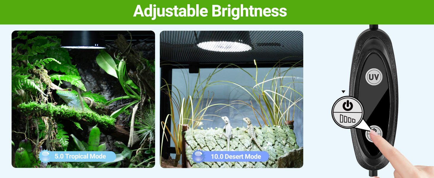 SUKEOPET UVB Reptile Light with Dimming