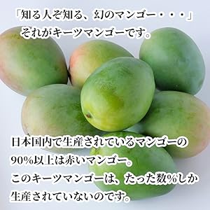 キーツマンゴー　るいさん専用 imgrc0124311608.jpg
