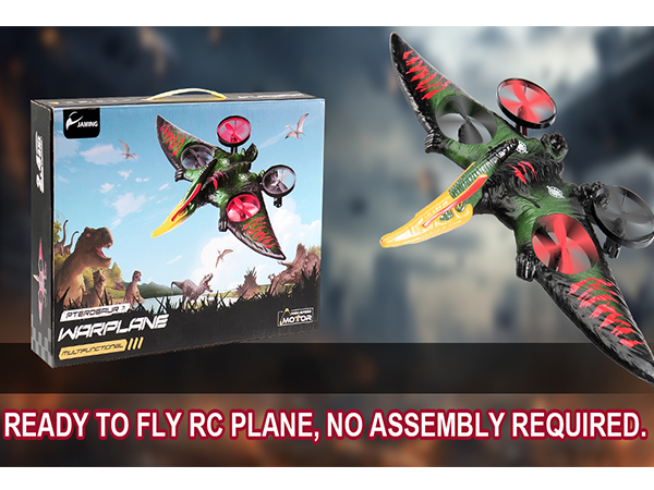 Amazon.com: Dragon Remote Control Flying Airplane for Adults