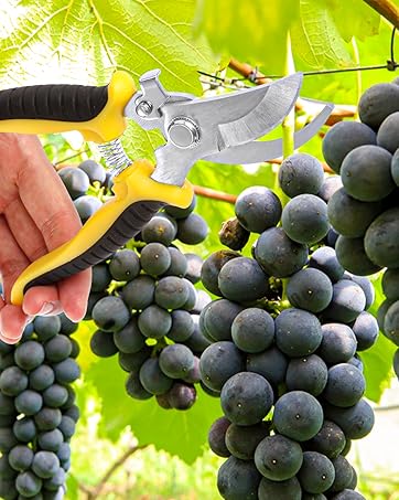 Gardening Scissors