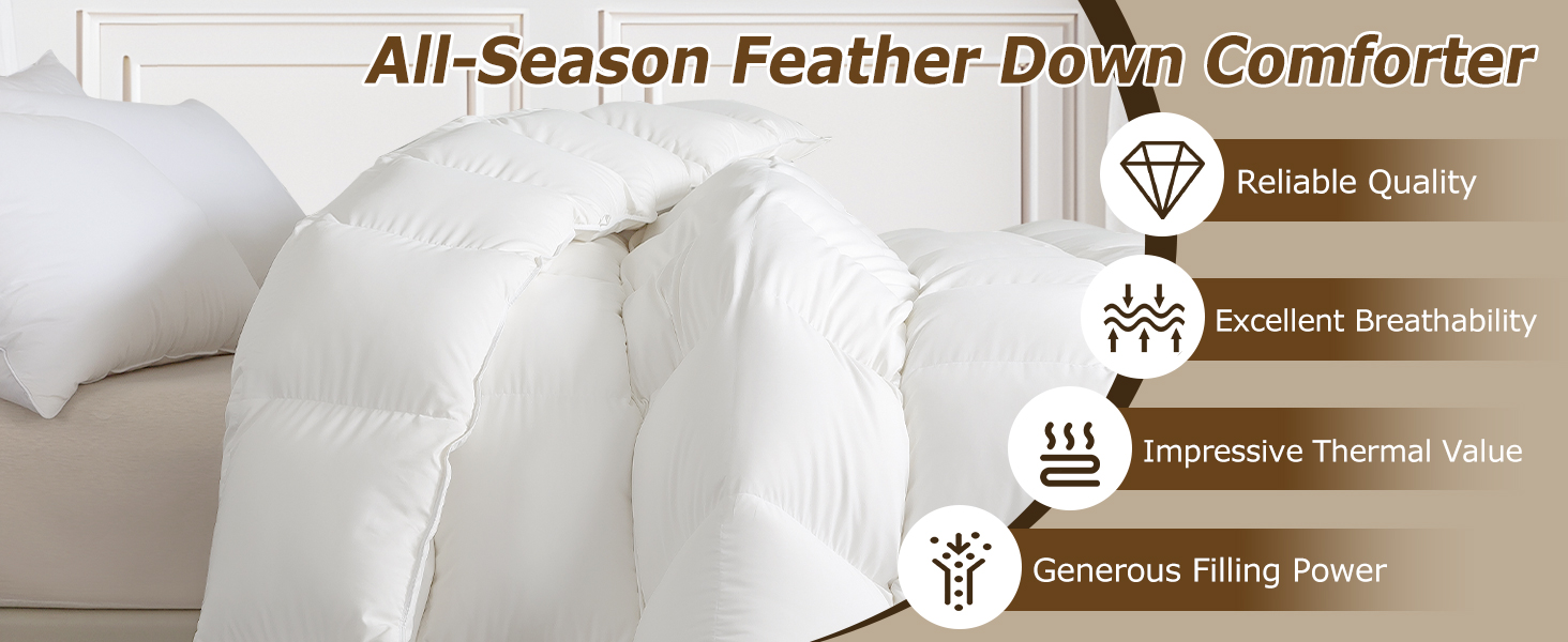 HYLEORY Luxurious 750 Fill Power Goose Feather Comforter, Queen Size 90"x90" 1edaa6ac 911d 4345 8f91 D3fcb0318fd4. CR0,0,1464,600 PT0 SX1464 V1
