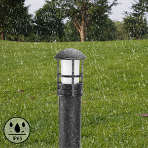 IP65 Waterproof